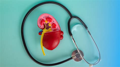 How Much Does a Dialysis Session Cost on Average? - GoodRx