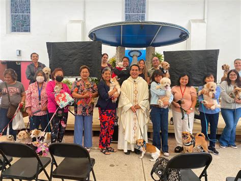Vibrant St. Michael’s to celebrate 65th year - The Southern Cross