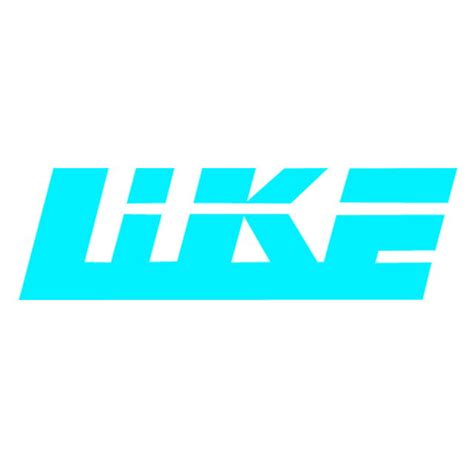 Company Overview - Shenzhen Like Video Technology Co., Ltd.