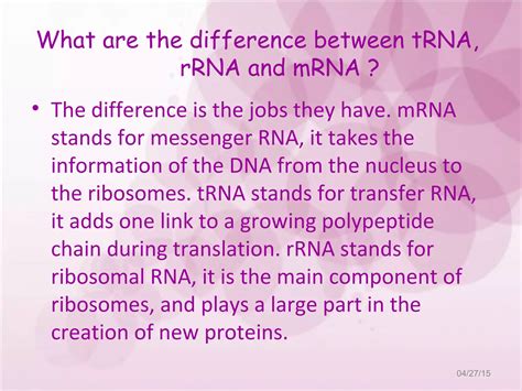 DNA Translation Basic 的图像结果
