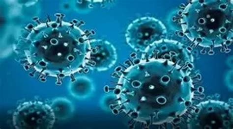 US CDC flags new Covid variants JN.1, HV.1