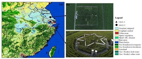 Projected Elevated [CO2] and Warming Result in Overestimation of SPAD ...