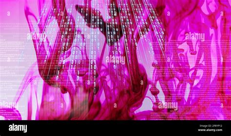 Image result for Rose Coding Style