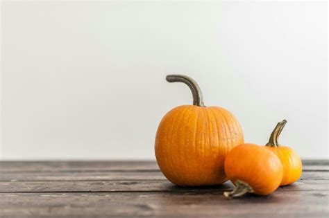 St. Marks UMC Fall Family Fun Time, Historic District, 7803 Well St ...