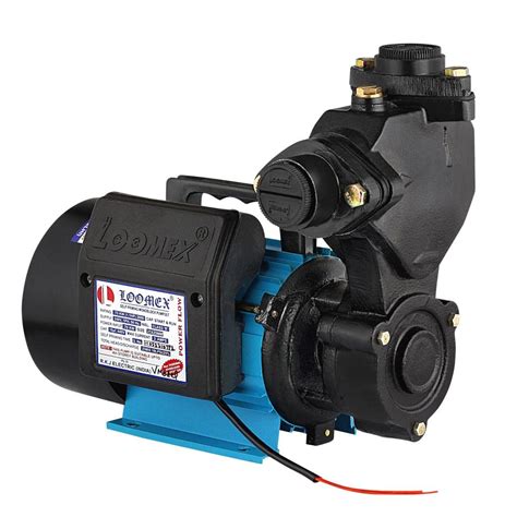 Loomex 1Hp Heavy Duty Domestic Water Pump Fitted With 100% Copper ...