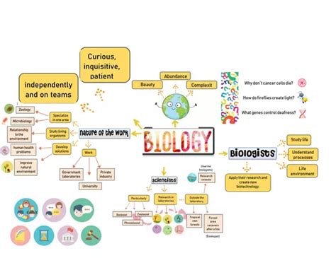 Biology Mind Map 的图像结果