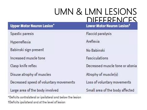 Upper and Lower motor neuron lesions | PPTX