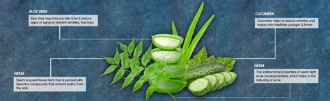 Khadi Pureus Herbals Somashree Neem Aloe Vera Face Wash for Glowing ...