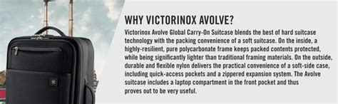 Avolve 22-31315101 : Amazon.in: Fashion