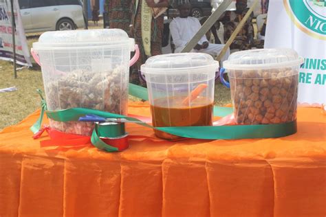 Ososa-Omoroyo Day 24, Ososa Town Ogun State, Lagos, 25 November to 1 ...