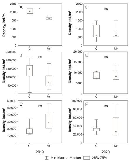 The Effect of Bean Seed Treatment with Entomopathogenic Fungus ...