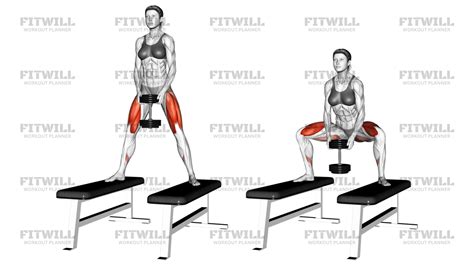 Dumbbell Sumo Squat Off Benches: Exercise Guide, Techniques, Benefits ...