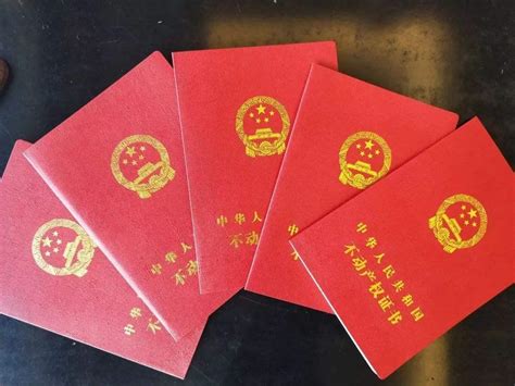 在上海，如何使用亮证-证件授权办理相关事宜 - 知乎