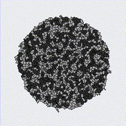 Image result for Cell Sorting Example