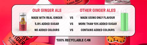 Tipsy Tiger Ginger Ale | Sparkling Soft Drink with Real Ginger & Lemon ...