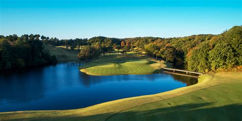 Crowned Sportsfield 的图像结果