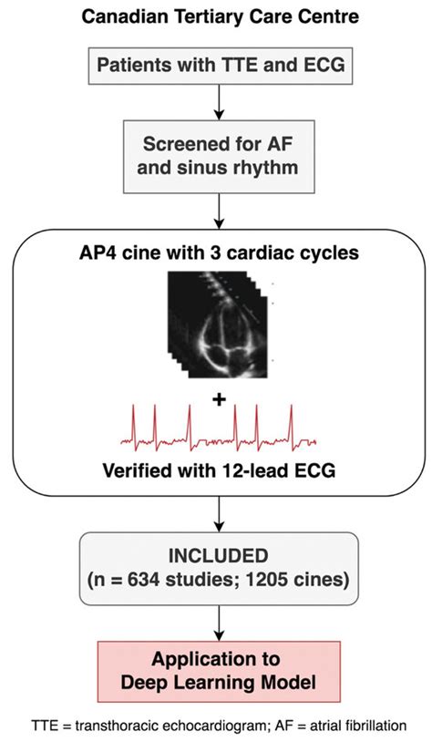 Automated Atrial Fibrillation Diagnosis by Echocardiography without ECG ...
