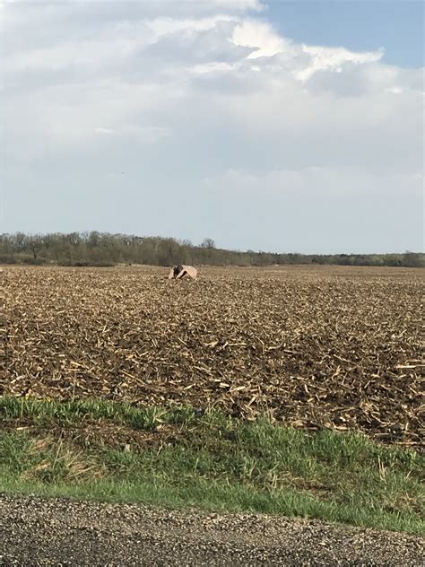 EF0 Tornado Near Richfield, Wisconsin (Updated 4 PM 5/10)