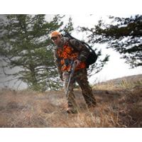 Everything You Should Know About 17 WSM Ammo | 17 WSM Buyers' Guide
