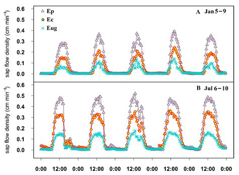 Differences in Transpiration Characteristics among Eucalyptus ...