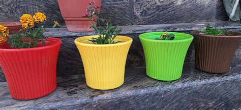KHOJI Plastic Sunshine Flower Pot (A Set of 4 Multicolored pots) Flower ...
