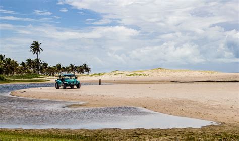 Beach 的图像结果