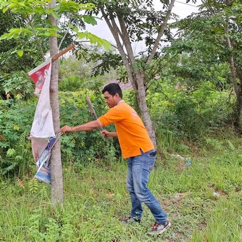 Satpol PP Kampar Tertibkan Baliho, Banner dan Reklame Liar ...