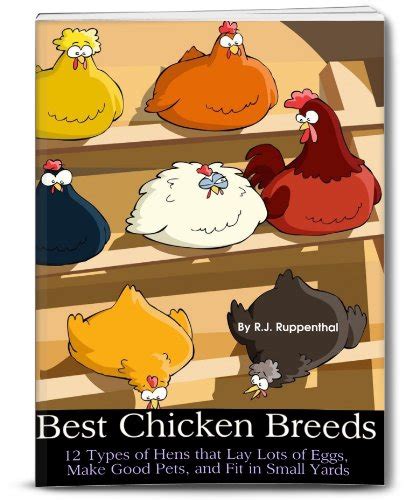 Best Chicken Breeds: 12 Types of Hens that Lay Lots of Eggs, Make Good ...