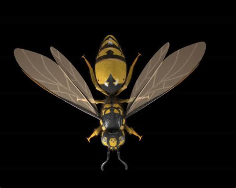 Image result for Wasp 3D Tutorial