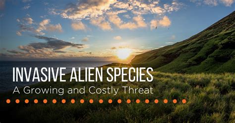 Alien Invasive Insects 的图像结果