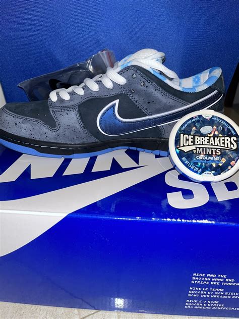 IN-HAND REVIEW BLUE LOBSTER SB DUNK : r/hagobuy
