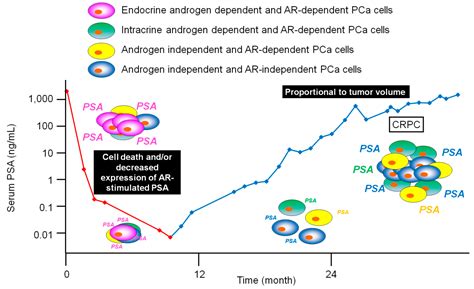 The Importance of Time to Prostate-Specific Antigen (PSA) Nadir after ...