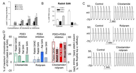 Dual Activation of Phosphodiesterase 3 and 4 Regulates Basal Cardiac ...