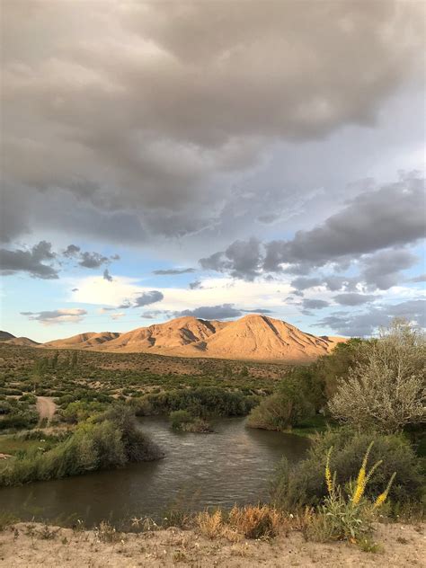 WALKER RIVER RESORT - Campground Reviews (Smith, NV)