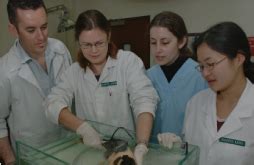 Fisheries College and Research Institute (FC & RI), Thoothukudi - Home