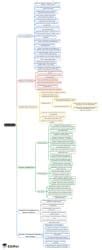 Mind Map: Anaesthesia - NEET PG PDF Download