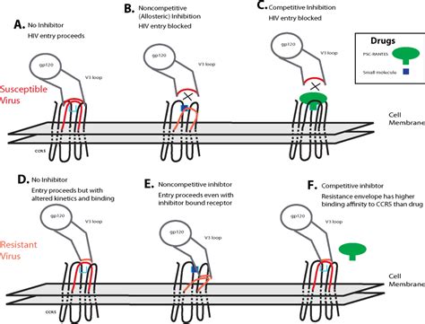 HIV-1 Entry, Inhibitors, and Resistance