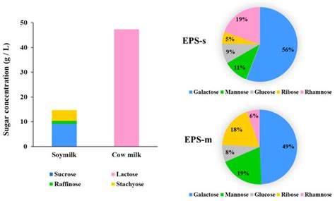Partial Characterization and Immunomodulatory Effects of ...