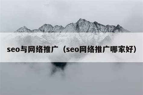 seo与网络推广（seo网络推广哪家好） - 全网营销 - 种花家资讯