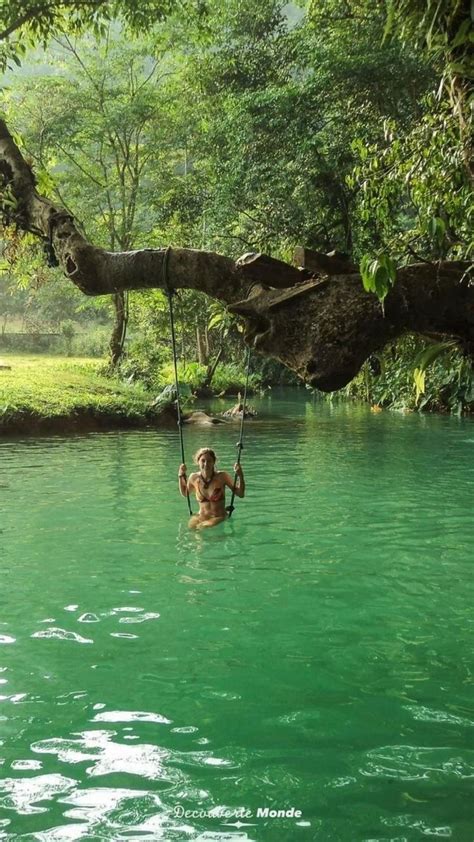 Nature Beach Swimming 的图像结果