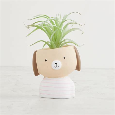 Buy Fiesta Artificial Plant in Pot from Home Centre at just INR 999.0
