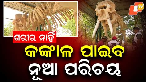 Ramu Gets New Identity: ଶରୀର ନାହିଁ କିନ୍ତୁ କଙ୍କାଳକୁ ମିଳିବ ନୂଆ ପରିଚୟ ...