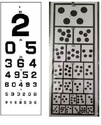 ECP eye testing "Number" and "Dot" Vision Test Chart Price in India ...