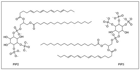 In Silico Study of Potential Small Molecule TIPE2 Inhibitors for the ...