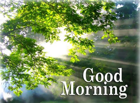 Morning Routine for Vacation 的图像结果