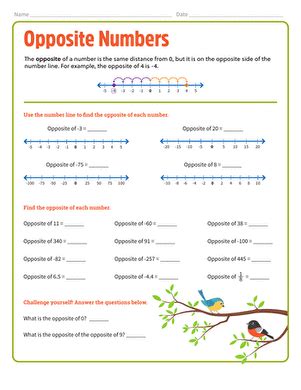 Opposite Numbers Example 的图像结果