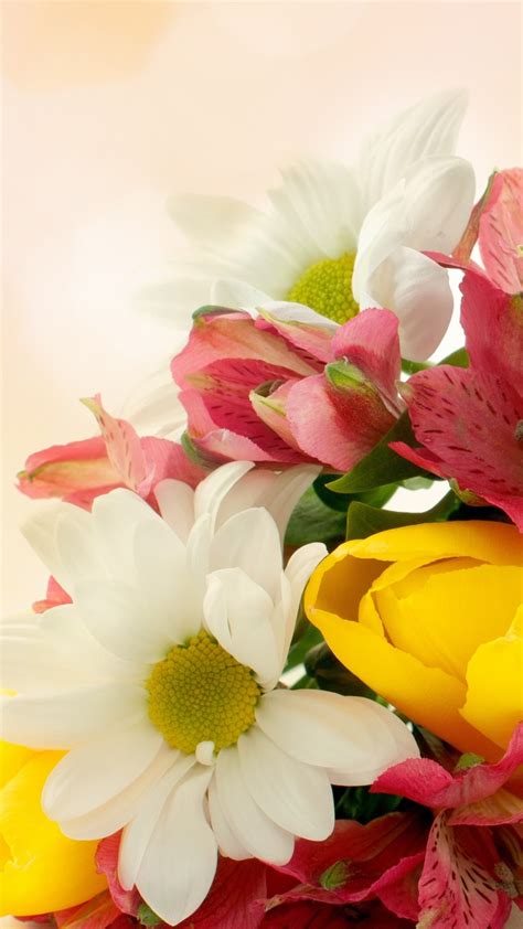 関連する画像の詳細をご覧ください。Wallpaper Some flowers, red, yellow, white, hazy background 3840x2160 ...