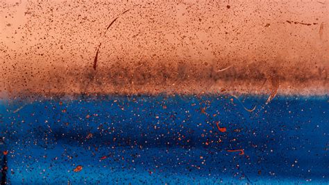 Download wallpaper 2560x1440 texture, spray, spots, stains, paint ...