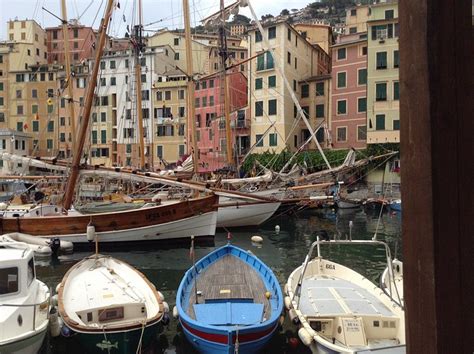 AFFITTA CAMERE L'ANCORA (Camogli) - Guesthouse Reviews, Photos, Rate ...