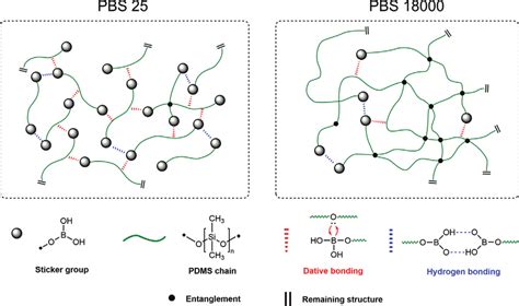 MathWorks PBS 的图像结果